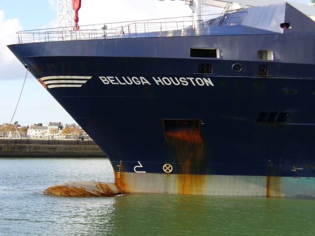 bulbebelugahouston.JPG