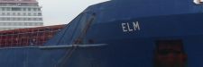 elm