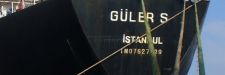 gulers