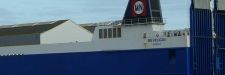 mnpelican