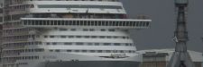 mscfantasia