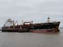 Apatura