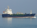 Pandion