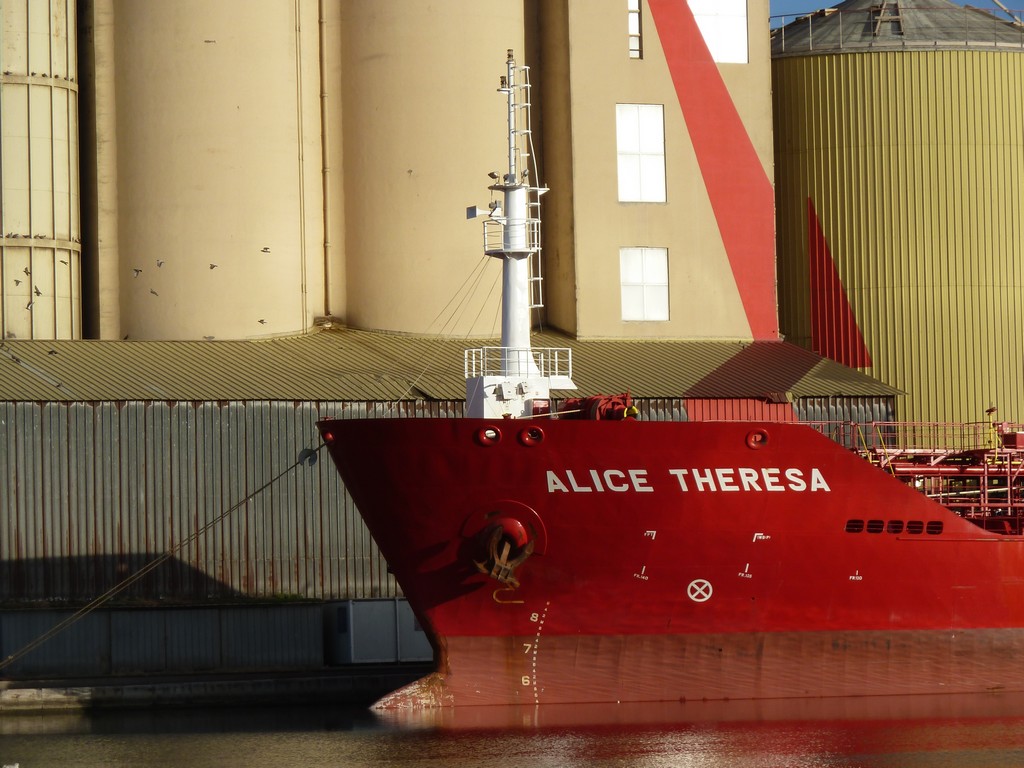 Alice Theresa