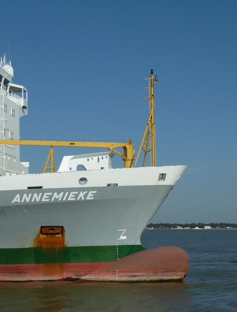 Annemieke