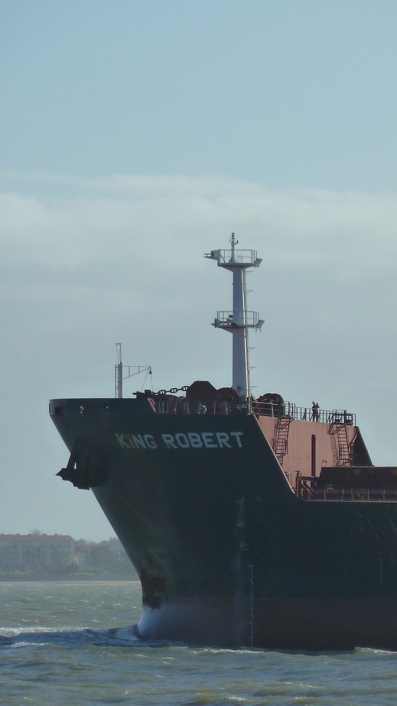 King Robert