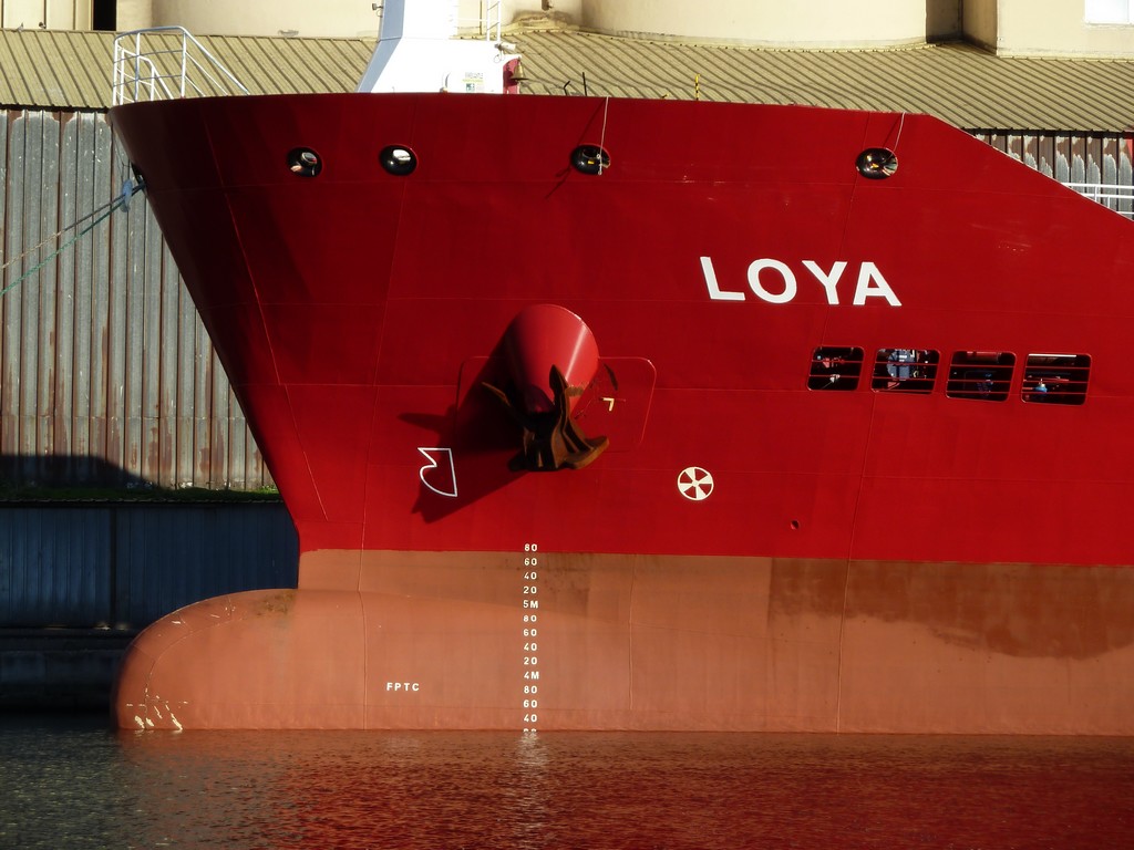 Loya