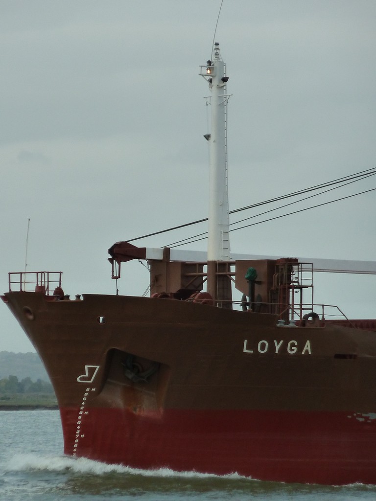 Loyga