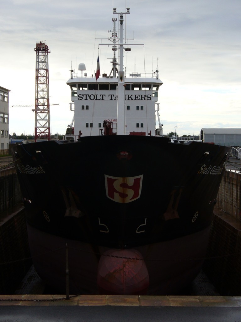 Stolt Guillemot