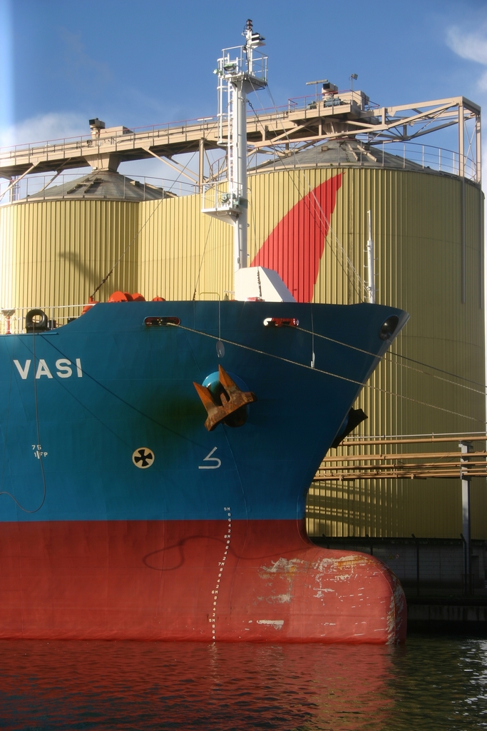 Vasi