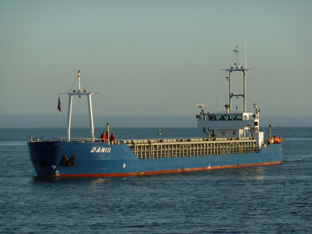 Danio