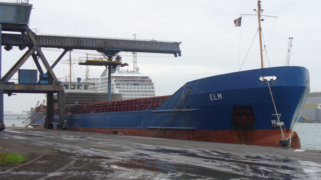 Elm