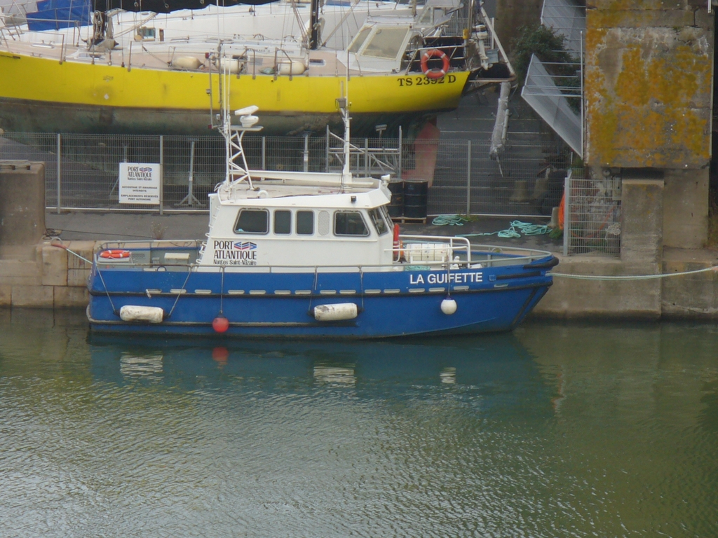 La Guifette